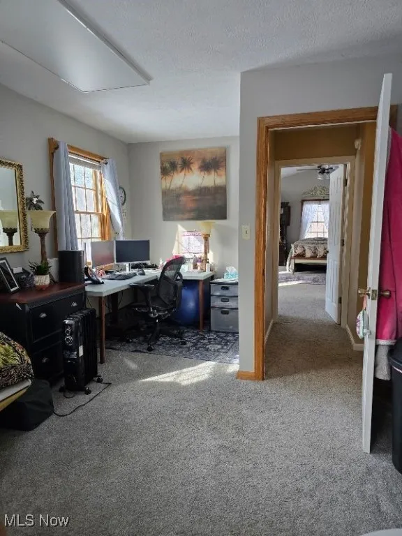 Carpeted office with attic access, a textured ceiling, and baseboards