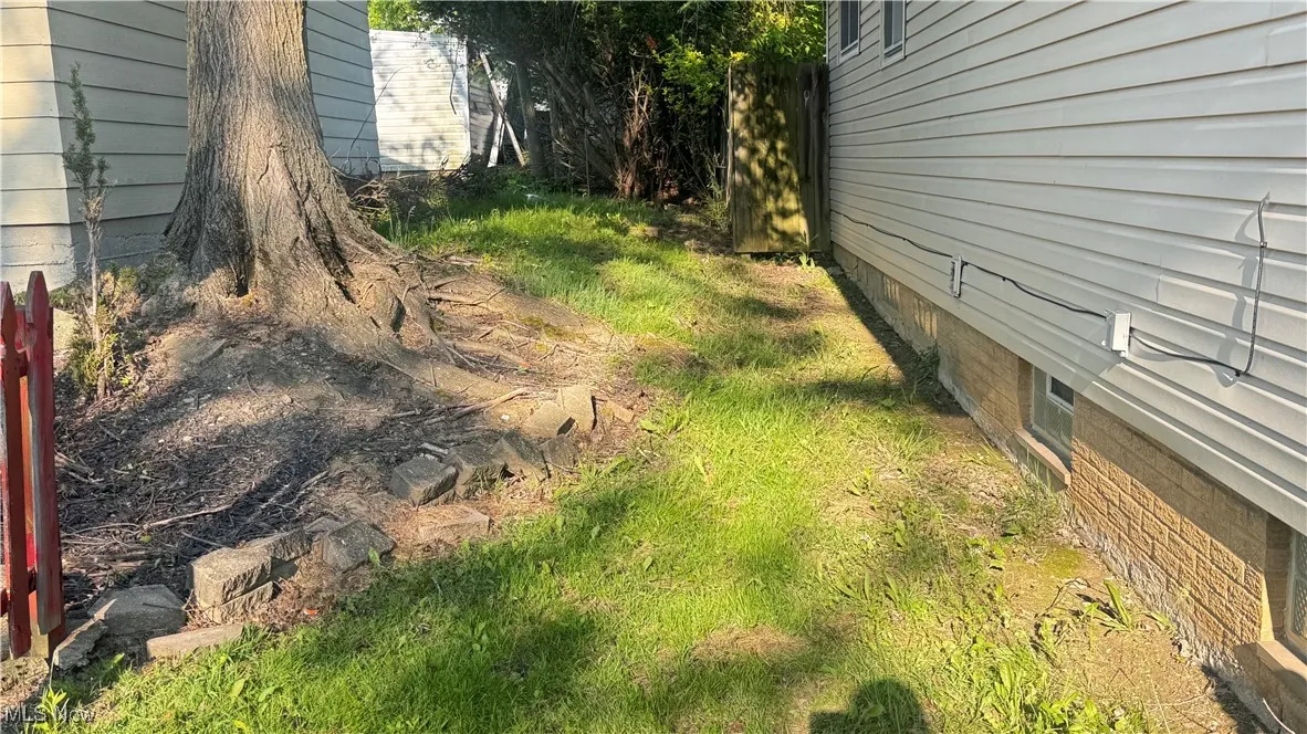 View of yard - North Side