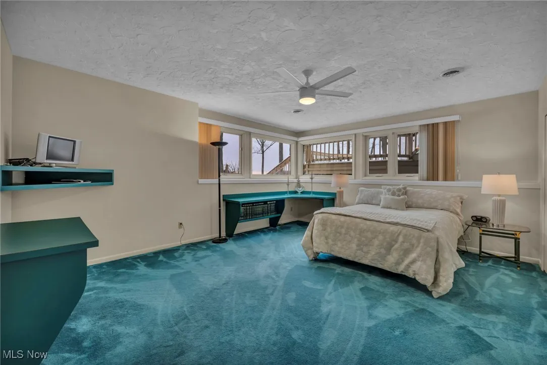 Lower Level bedroom with built ins plus two 8' closets!