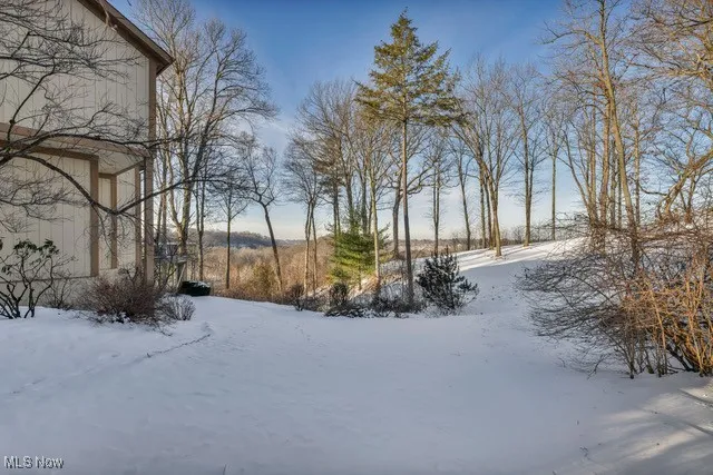View of the side yard and backyard on the right side of the house.