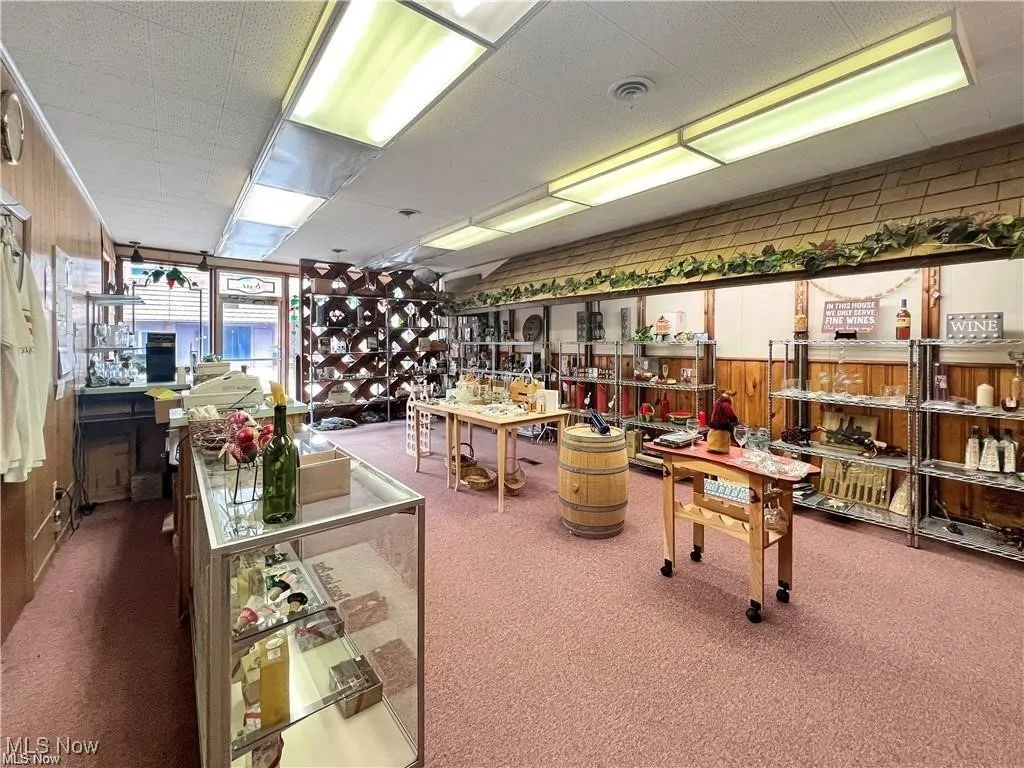 Rec room featuring carpet flooring, visible vents, and a workshop area