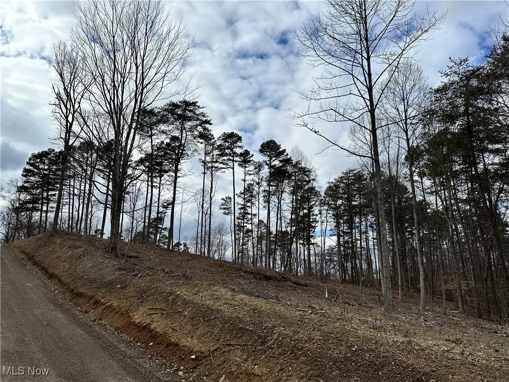 View of landscape