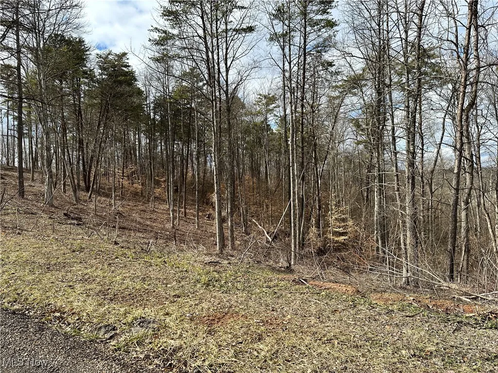 View of nature