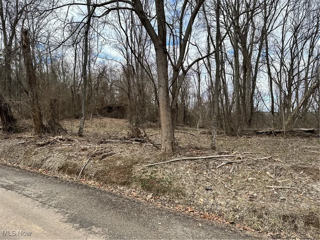 0 Fisher Ridge Rd, Tract 4, Fleming, Ohio,MLS Now Listing ID