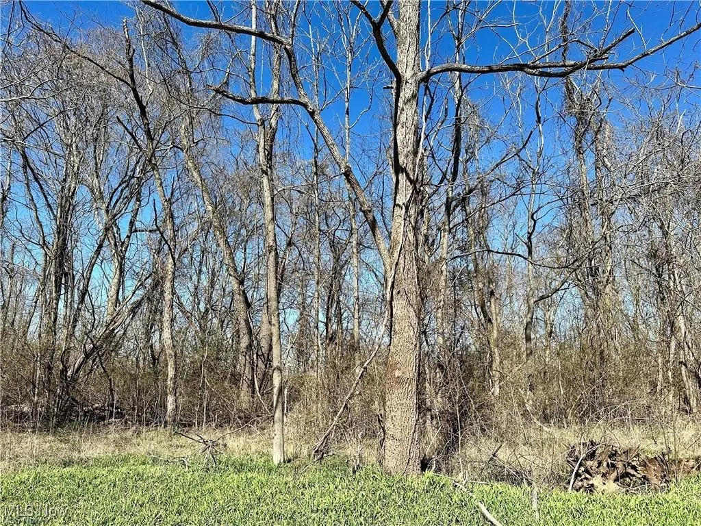 View from road