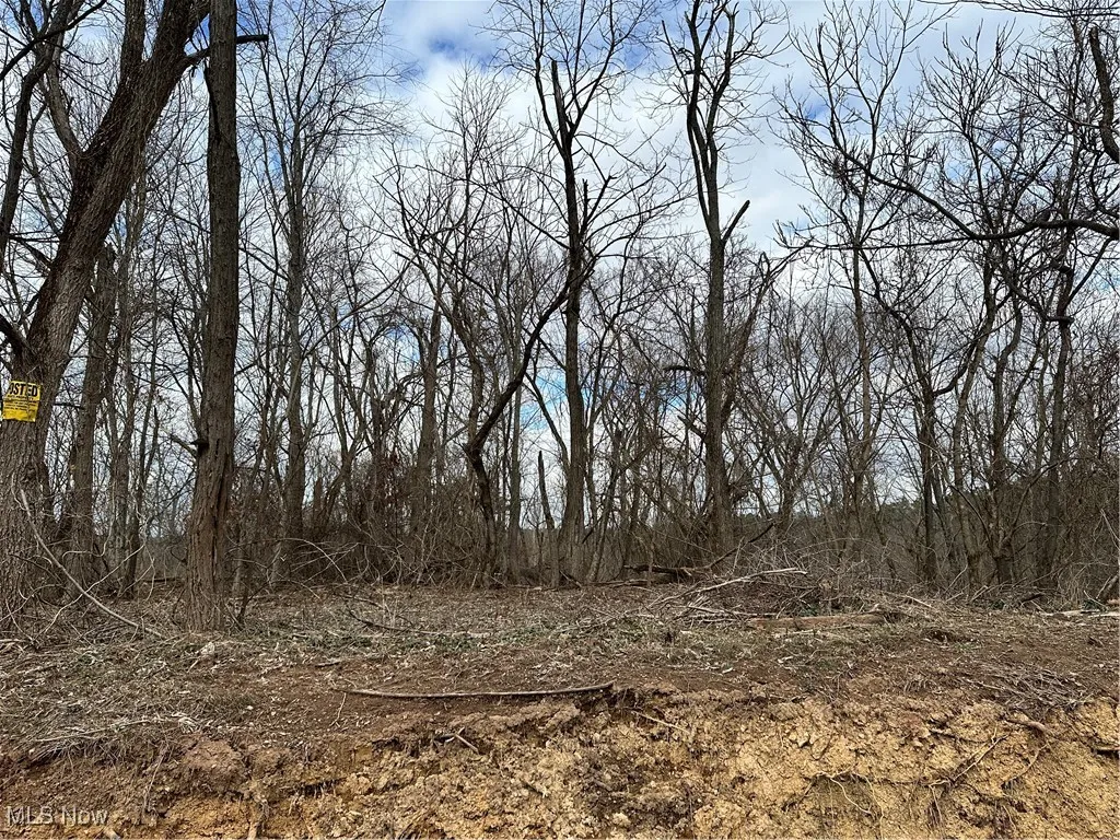 View from road