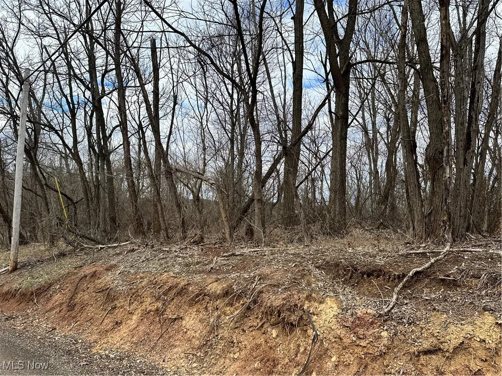 View of nature