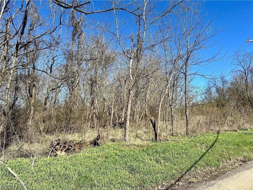 View from road