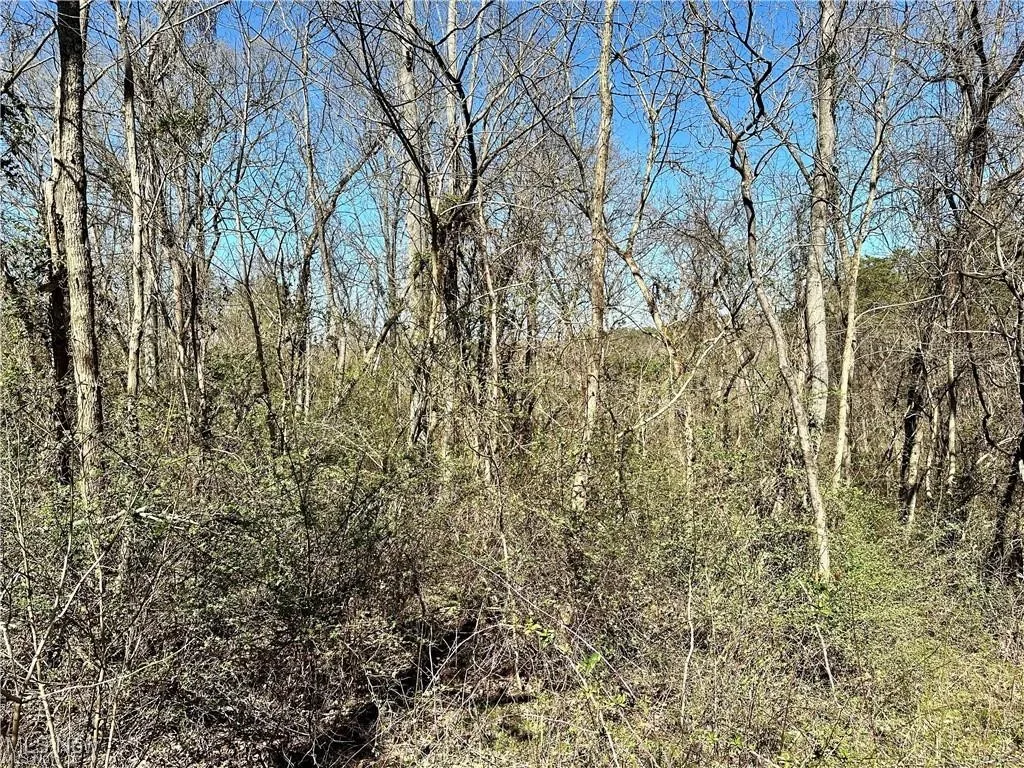 View of local wilderness