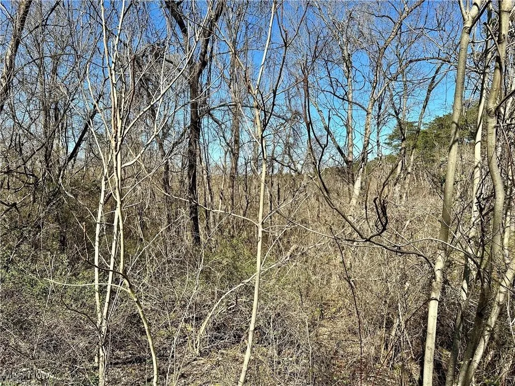 View of nature