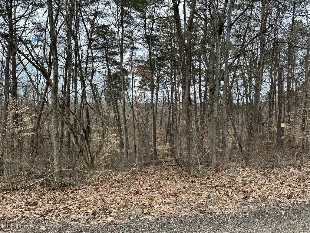 View from road