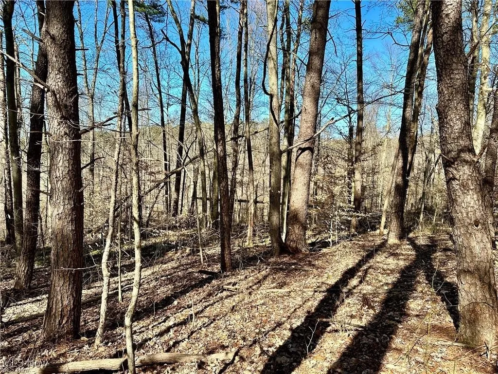 View of nature