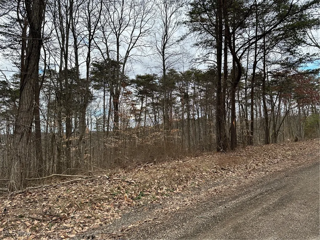 View of nature