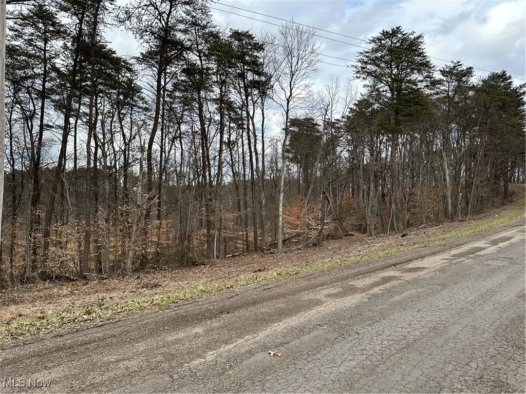 View of road with a wooded view