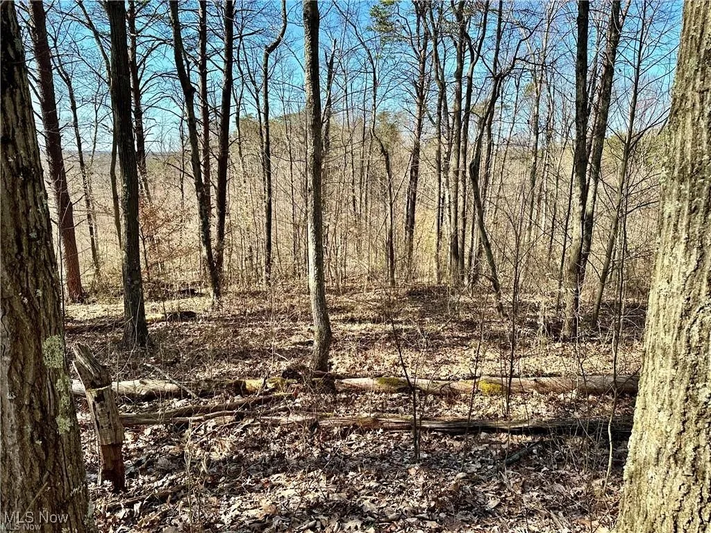 View of landscape