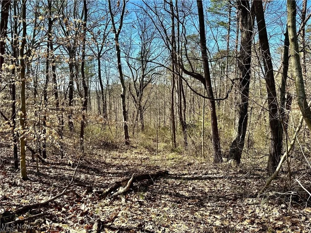 View of landscape with a forest view