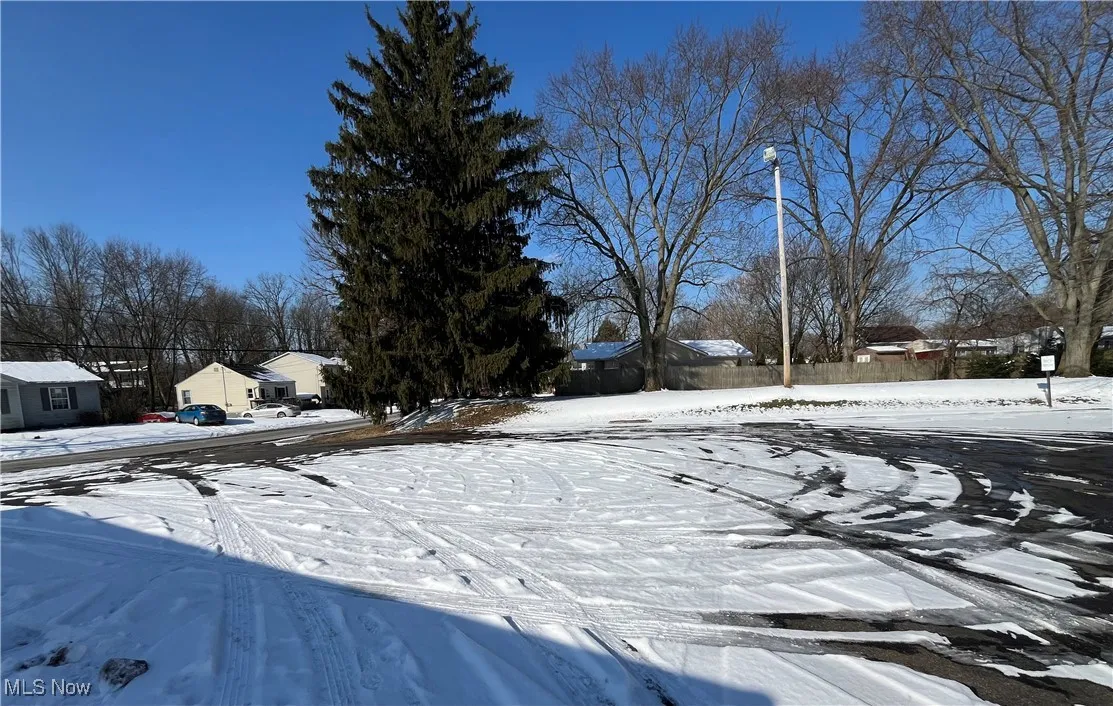 View of snowy yard