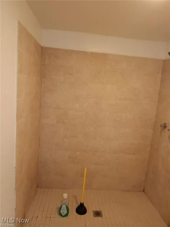 shower 2nd floor bath