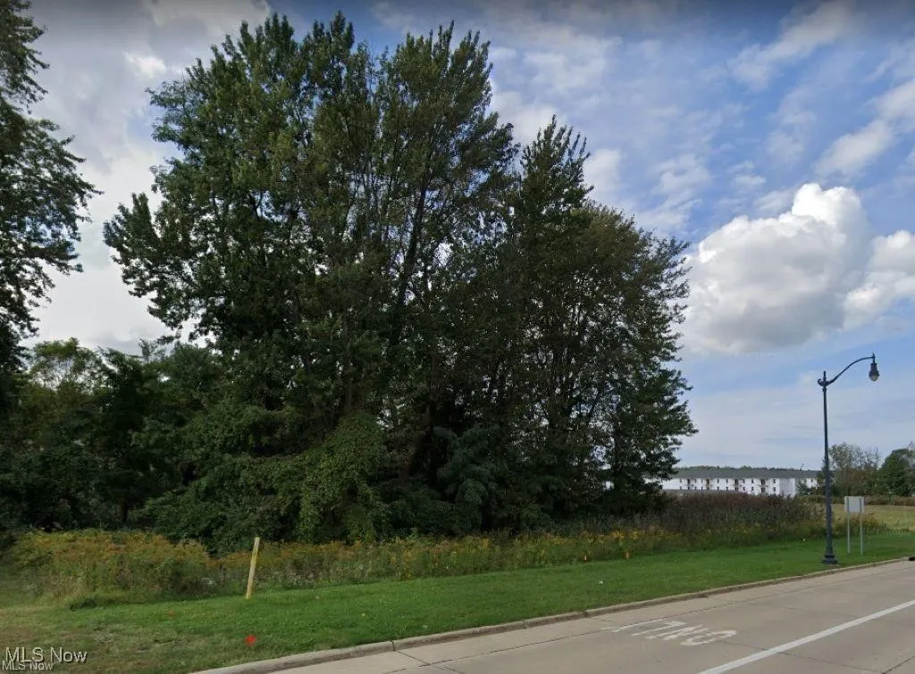 W Jackson Street, Painesville Township, Ohio,MLS Now Listing ID