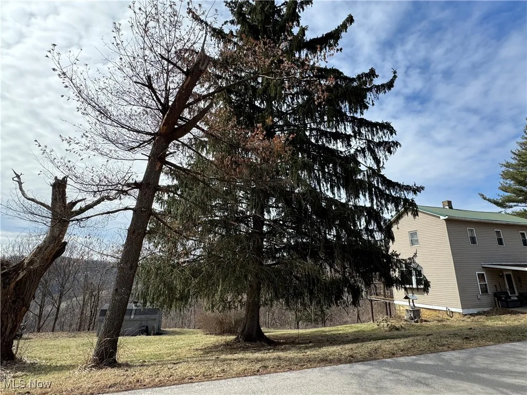 48375 Benwood Road, Sardis, Ohio 43946,MLS Now Listing ID