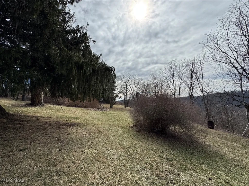 48375 Benwood Road, Sardis, Ohio 43946,MLS Now Listing ID