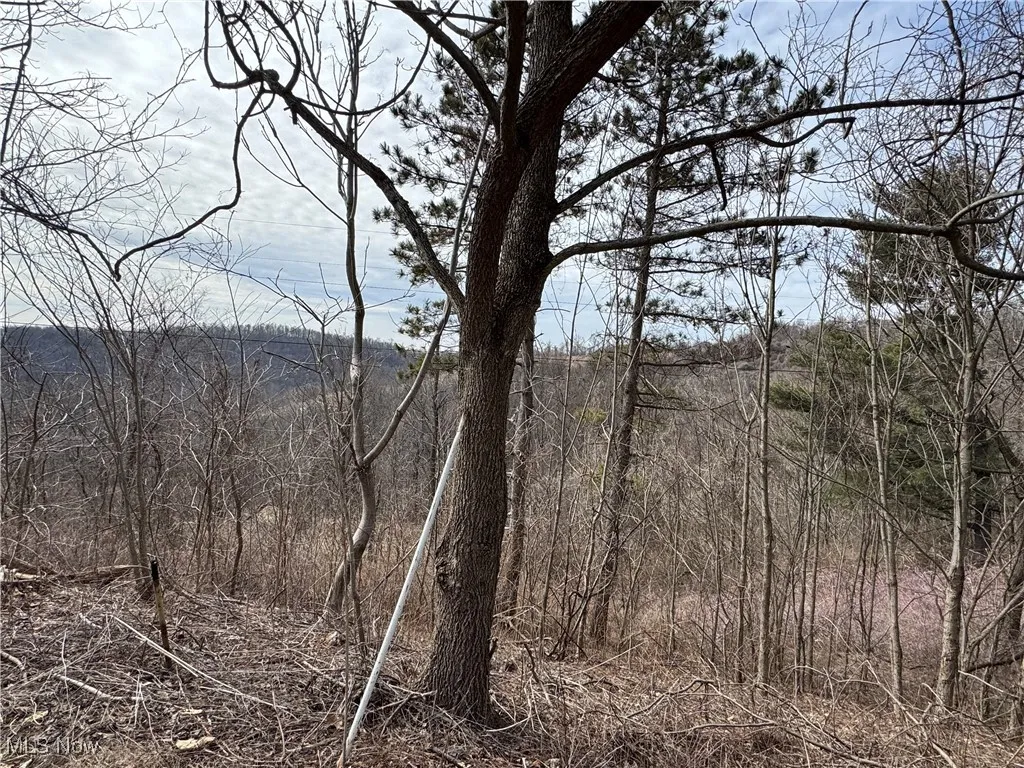 48375 Benwood Road, Sardis, Ohio 43946,MLS Now Listing ID