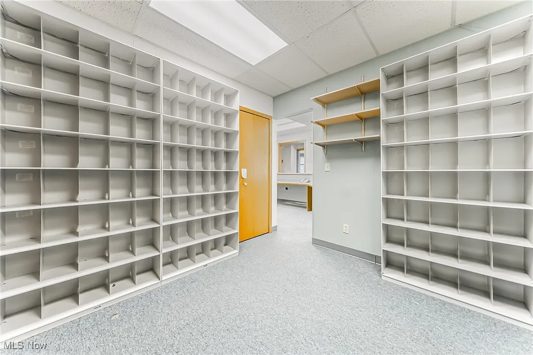 Spacious closet featuring a paneled ceiling