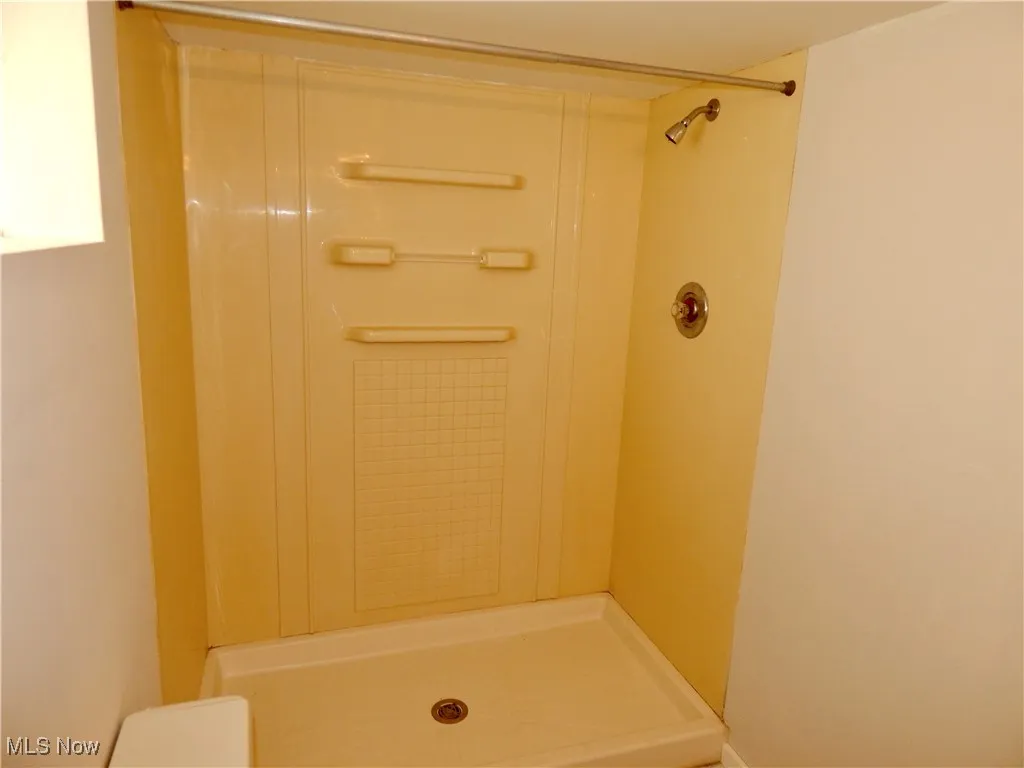 Basement Bathroom shower