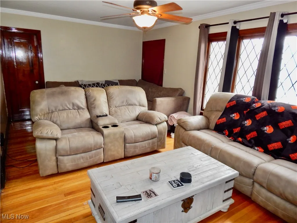 Living area with ornamental molding, a ceiling fan, and light and hardwood floors