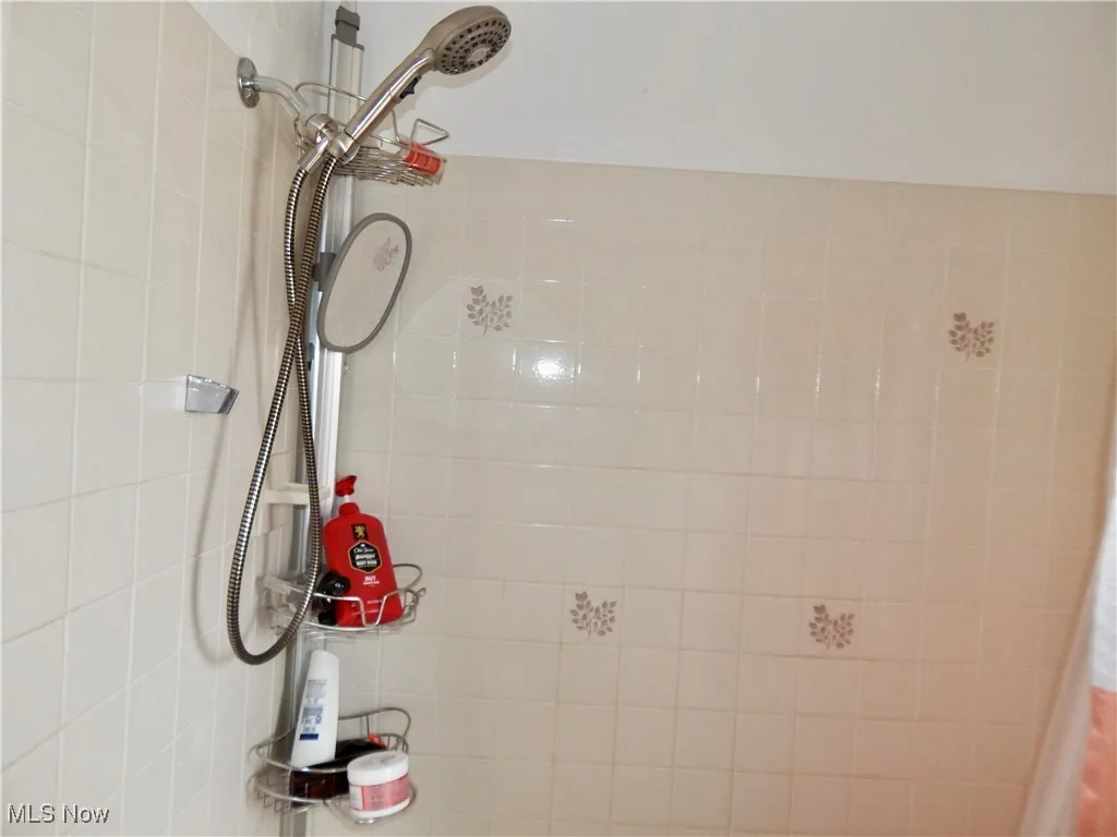 Details of the tiled shower
