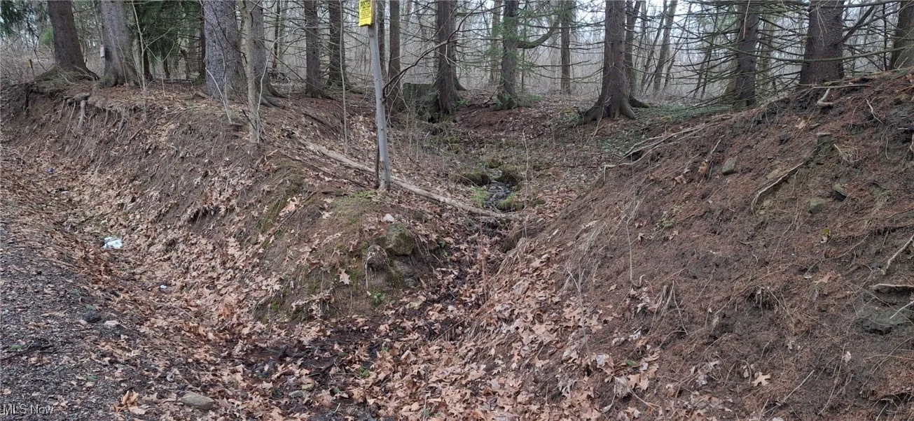 Bottom of spring fed pond, bottom washed out, can be easily rebuilt