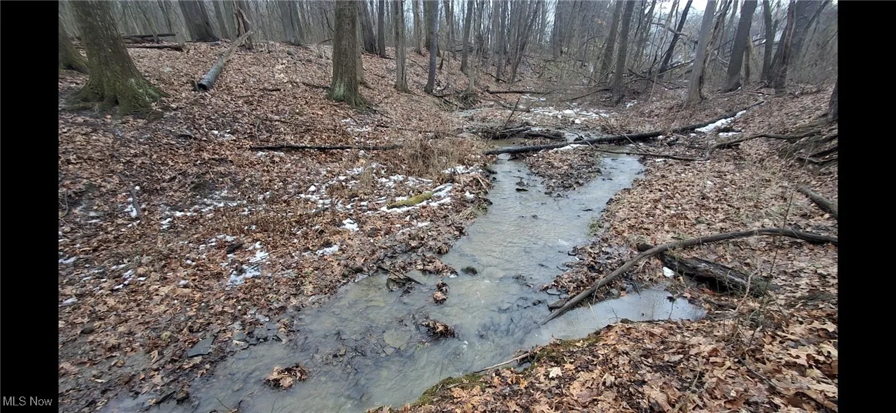 Top of ravine water flow