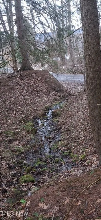 top of spring fed pond, bottom washed out, can be easily rebuilt