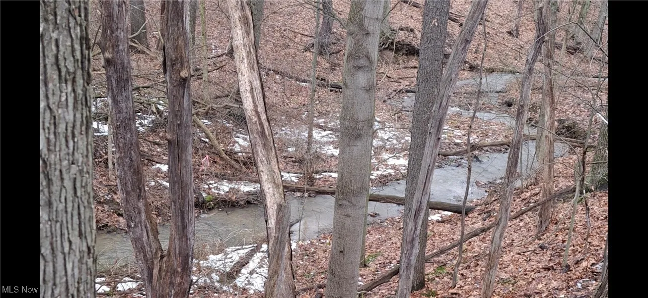 Middle of ravine water flow