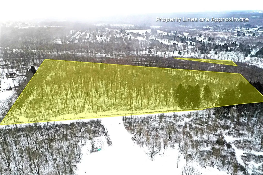 Aerial view property with boundaries indicated