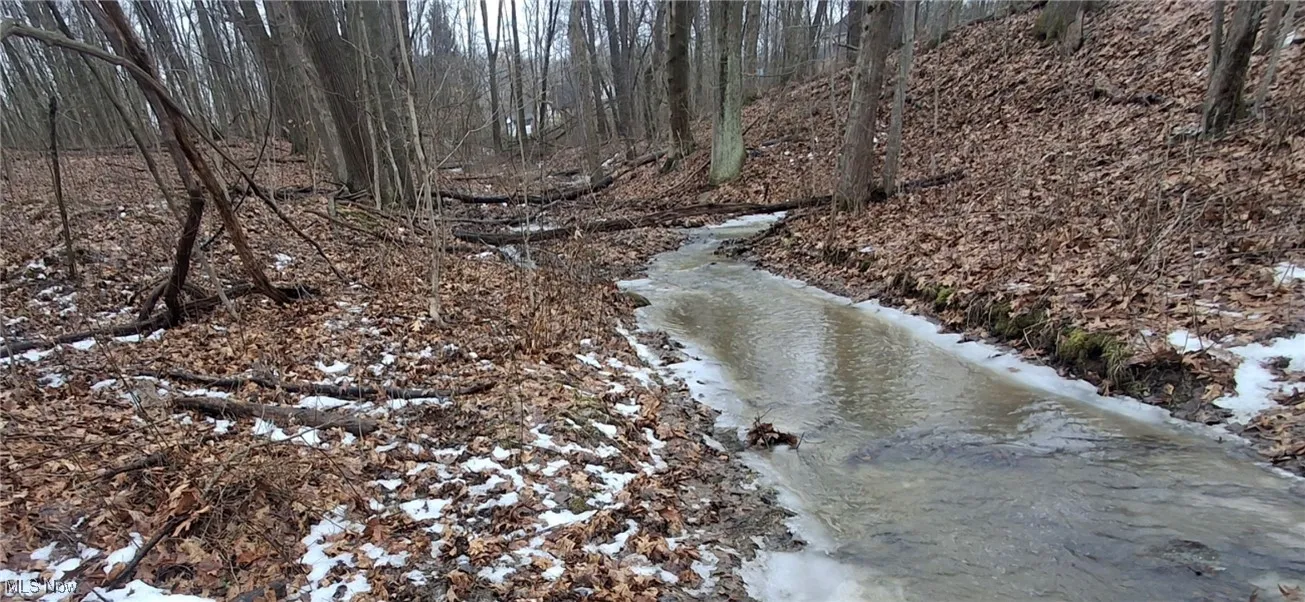 Bottom of the ravine waterflow