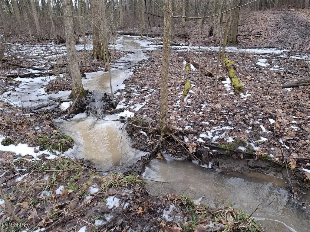 Water flows onto the property along the road