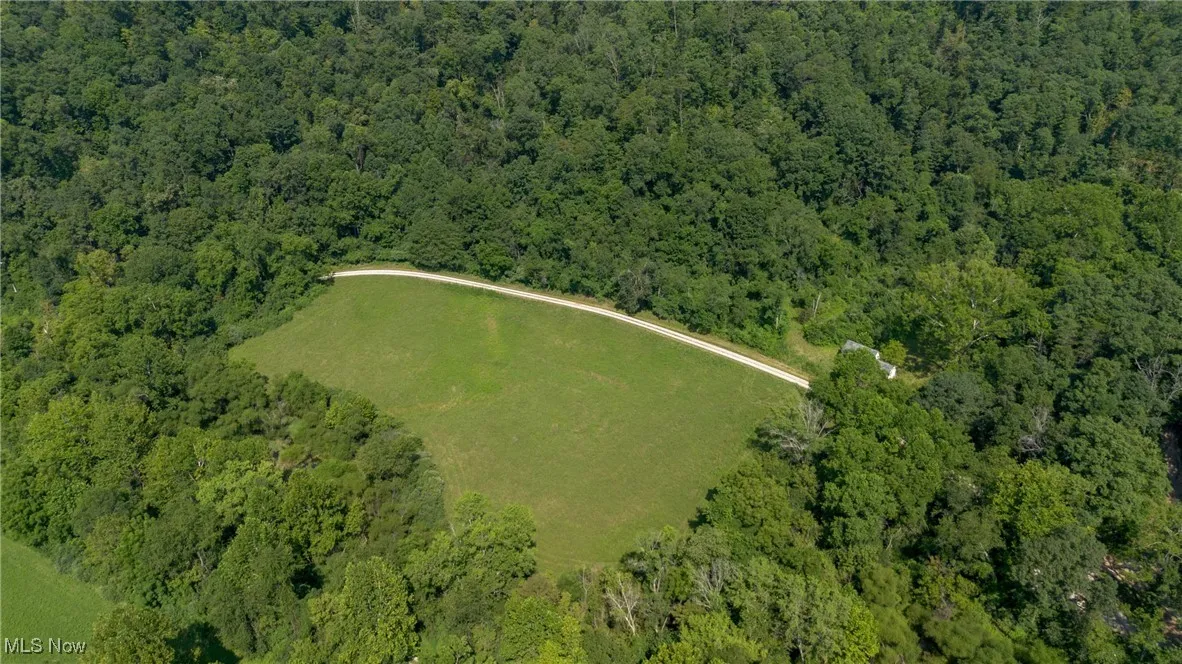311 Walker Creek Eaton Road, Walker, West Virginia,MLS Now Listing ID