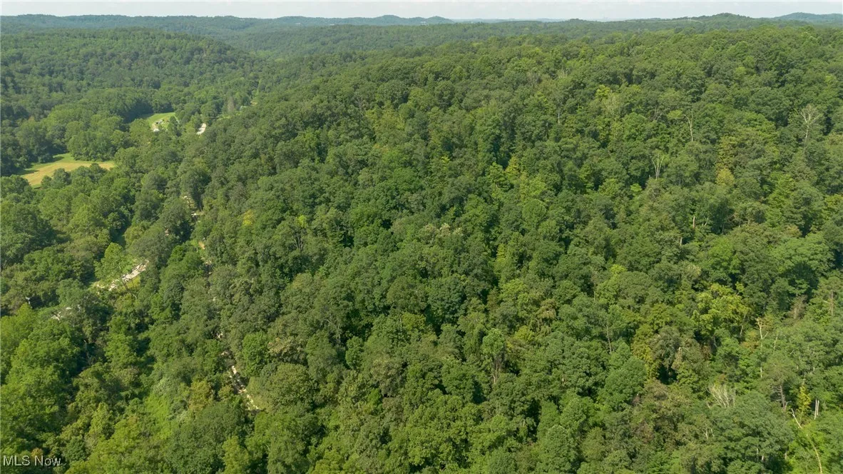 311 Walker Creek Eaton Road, Walker, West Virginia,MLS Now Listing ID
