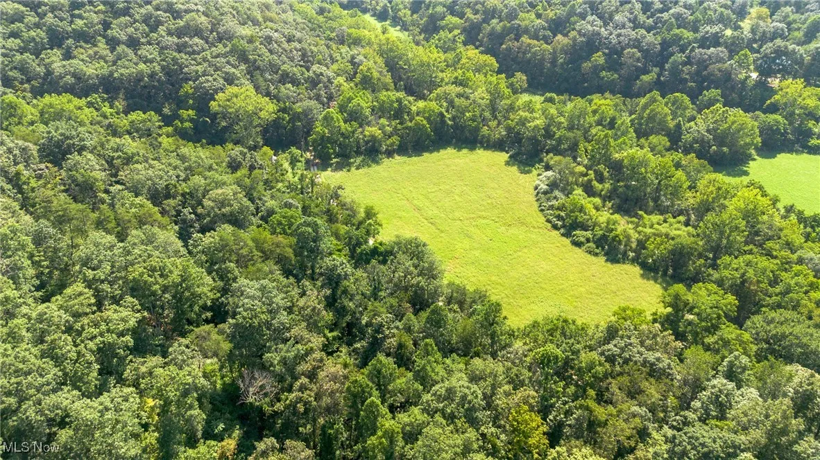 311 Walker Creek Eaton Road, Walker, West Virginia,MLS Now Listing ID