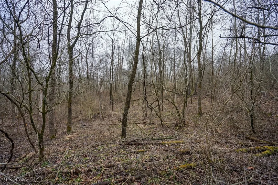 View of landscape