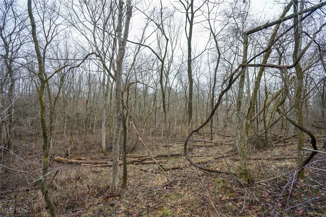 View of landscape featuring a wooded view