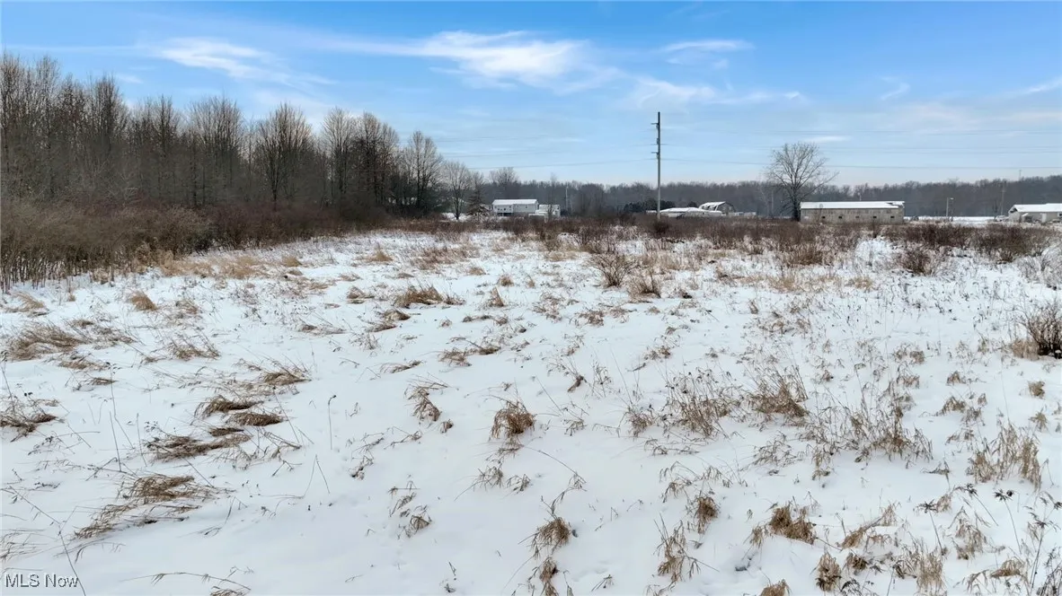 State Route 82, Newton Falls, Ohio,MLS Now Listing ID