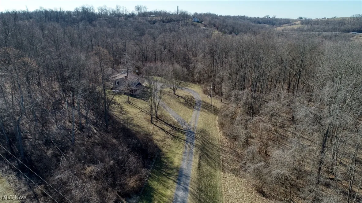 Drone / aerial view with a forest view