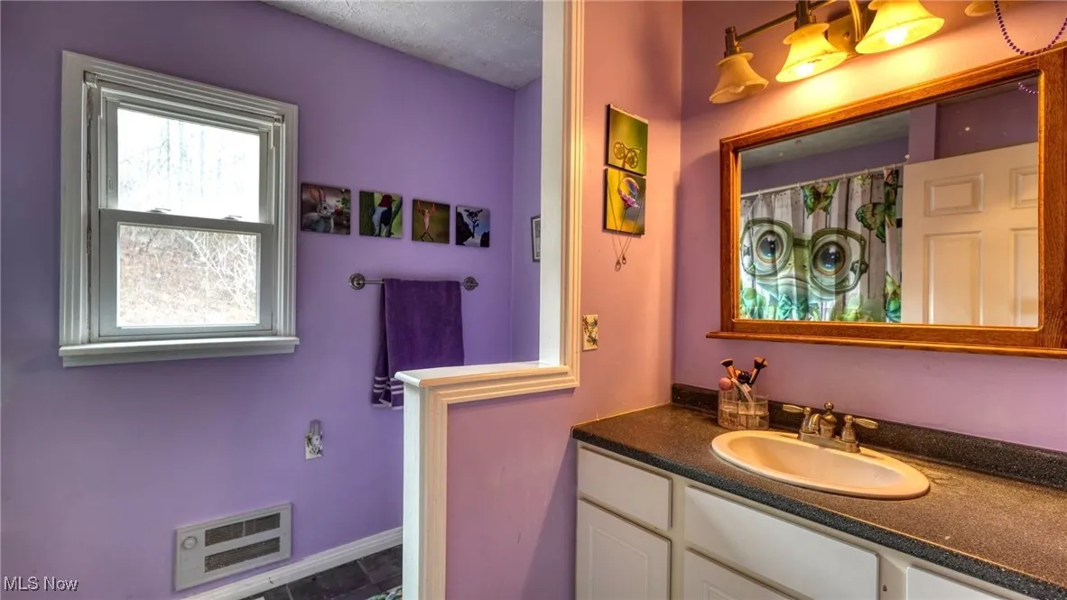 Bathroom featuring visible vents and vanity