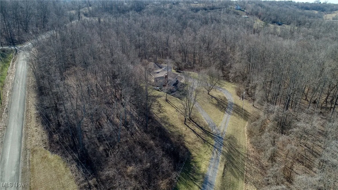 Drone / aerial view featuring a view of trees