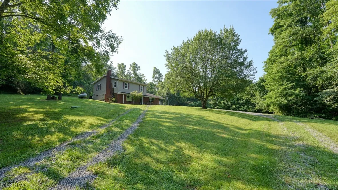 View of grassy yard