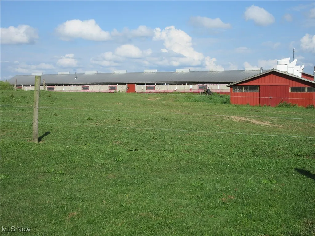 Pasture