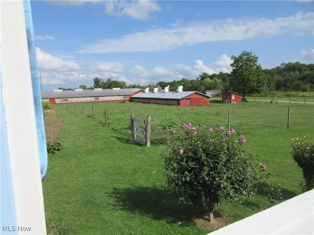 Pasture