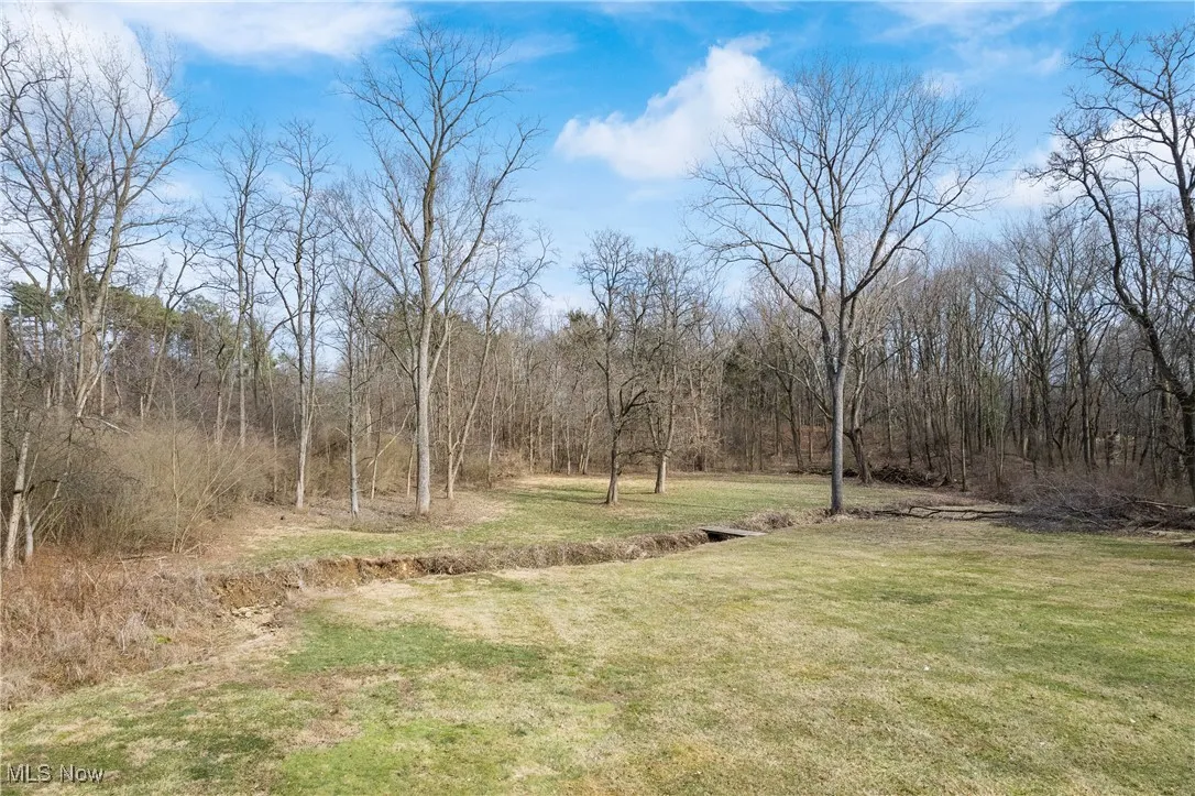 View of yard featuring a view of trees
